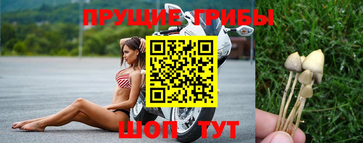 наркота  Вход с VPN  Норильск  Псилоцибиновые грибы мухоморы 
